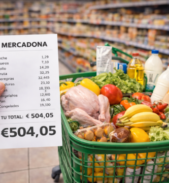 Cuánto Cuesta Comer Solo 1 Mes (Una Persona, Datos 2026) 3 Carrito de supermercado lleno con productos básicos como pollo, leche, frutas, verduras, huevos y pan, junto a una mano que sostiene un ticket de compra de Mercadona por valor de 504,05 € en un pasillo de supermercado en España en 2026